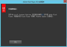 Windows Server 2016、2019顯示啟用Flash